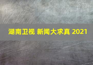 湖南卫视 新闻大求真 2021